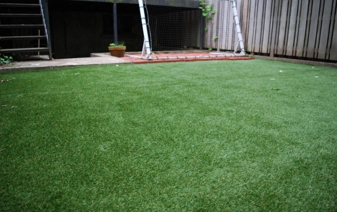 Artificial Turf in Silver Lake