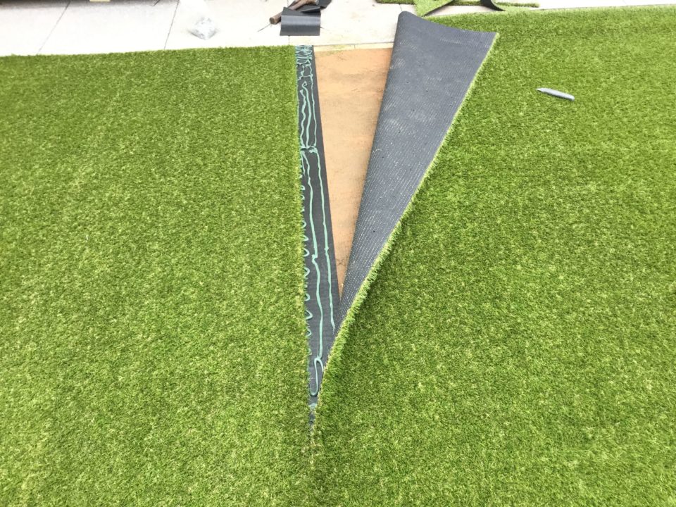 Artificial Turf in Santa Monica