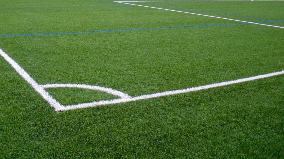 Artificial Turf in South Los Angeles