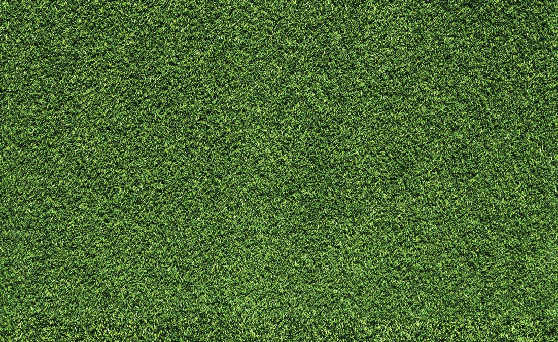 Artificial Turf in Pacific Palisades