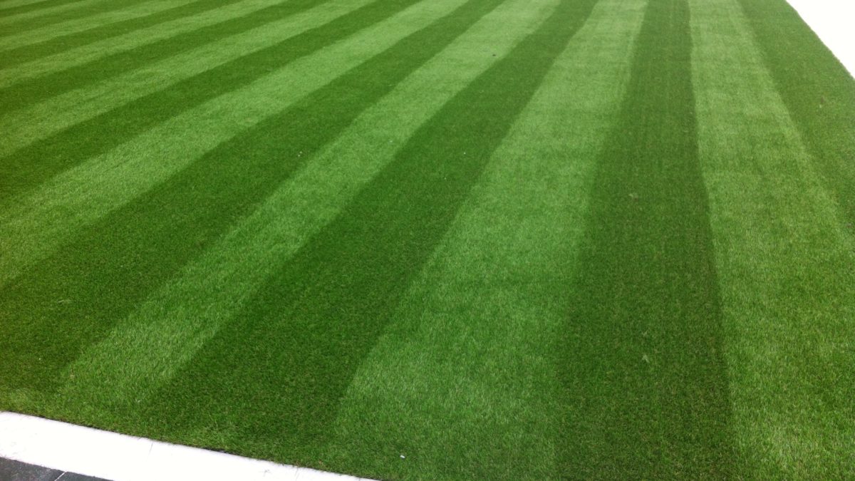 Artificial Turf in West Hills