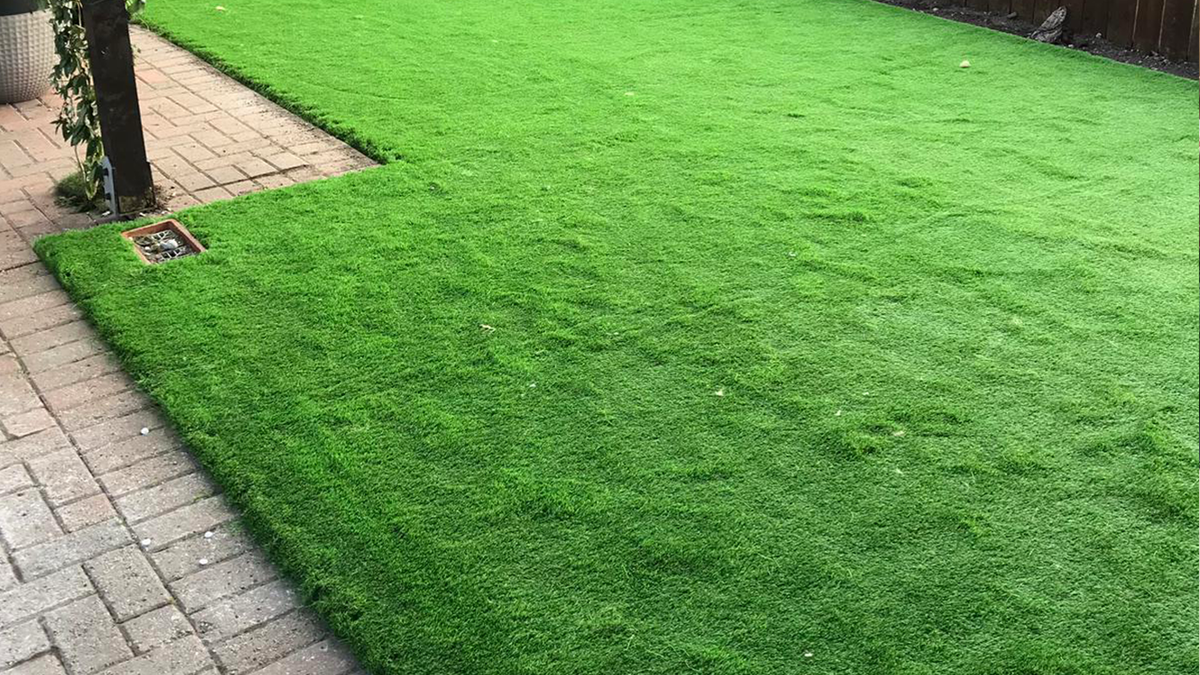 artificial turf in Chatsworth