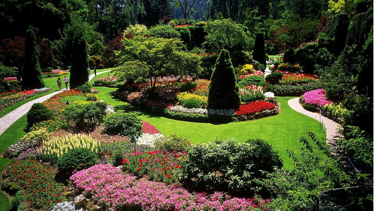 Green landscaping in Woodland Hills