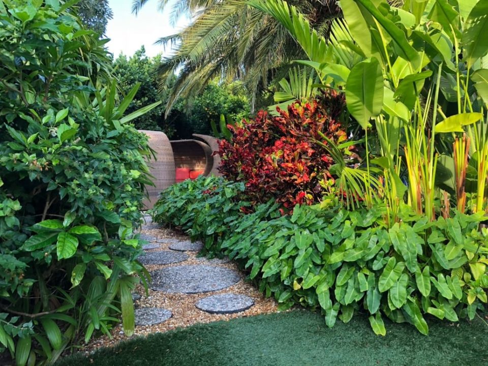 Green landscaping in Wilshire