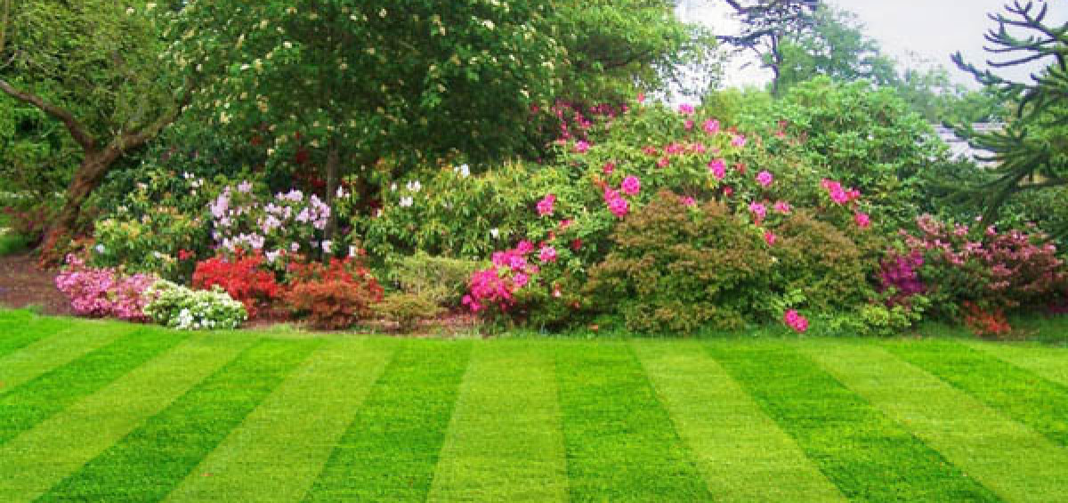 Green landscaping in Chatsworth