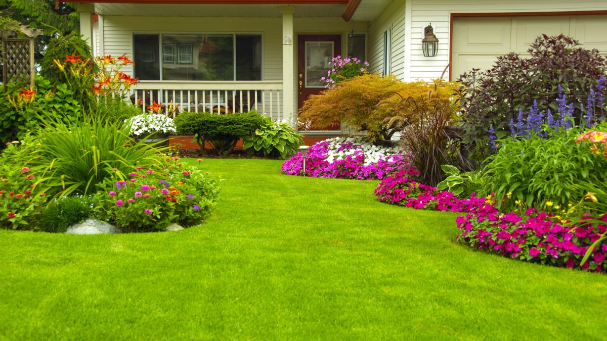 Green landscaping in Commerce