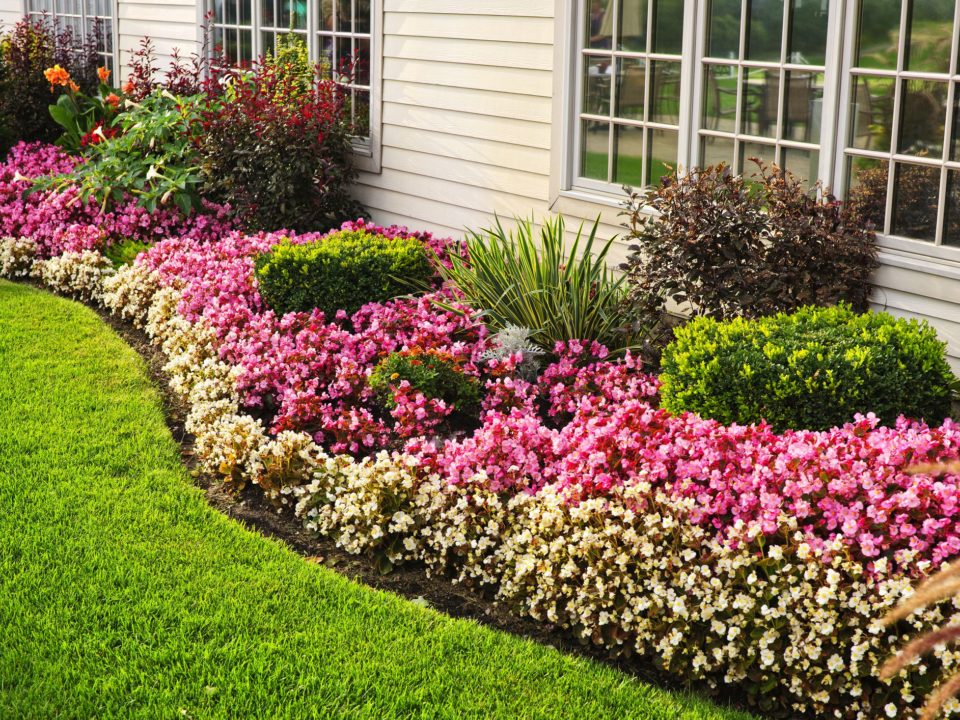 Green landscaping in Calabasas