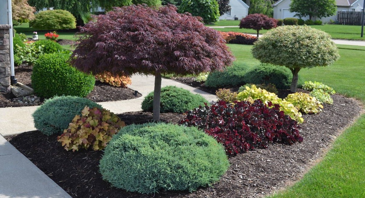 Green Landscaping in Porter Ranch
