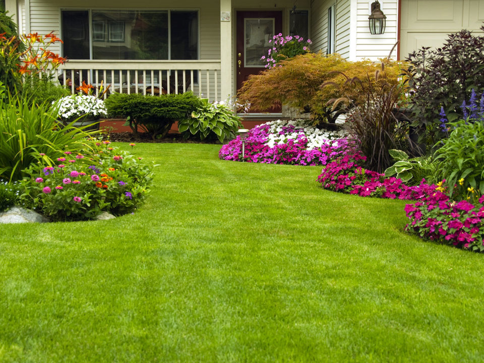 Green Landscaping in Rancho Palos Verdes