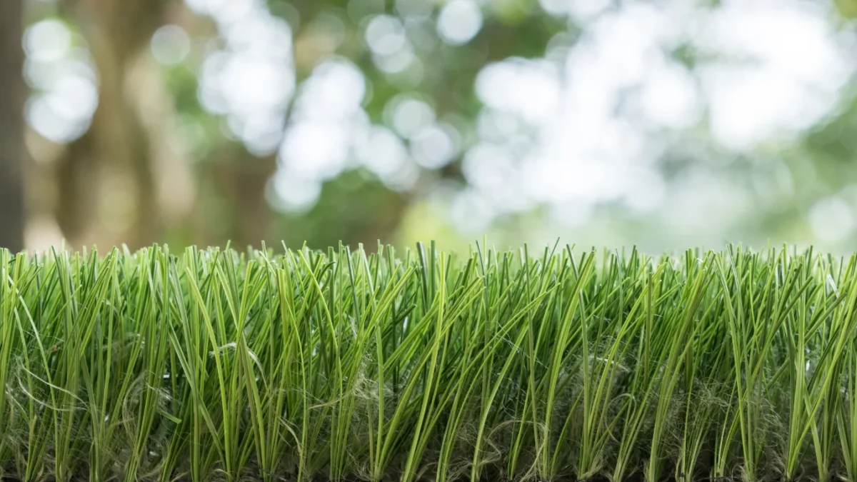 Artificial Turf