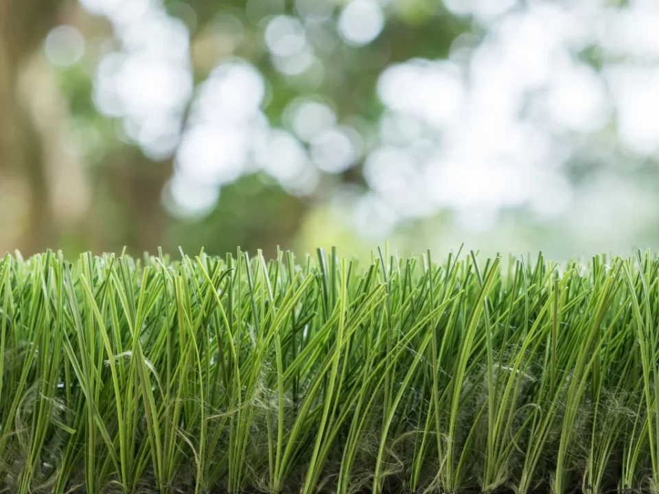 Artificial Turf