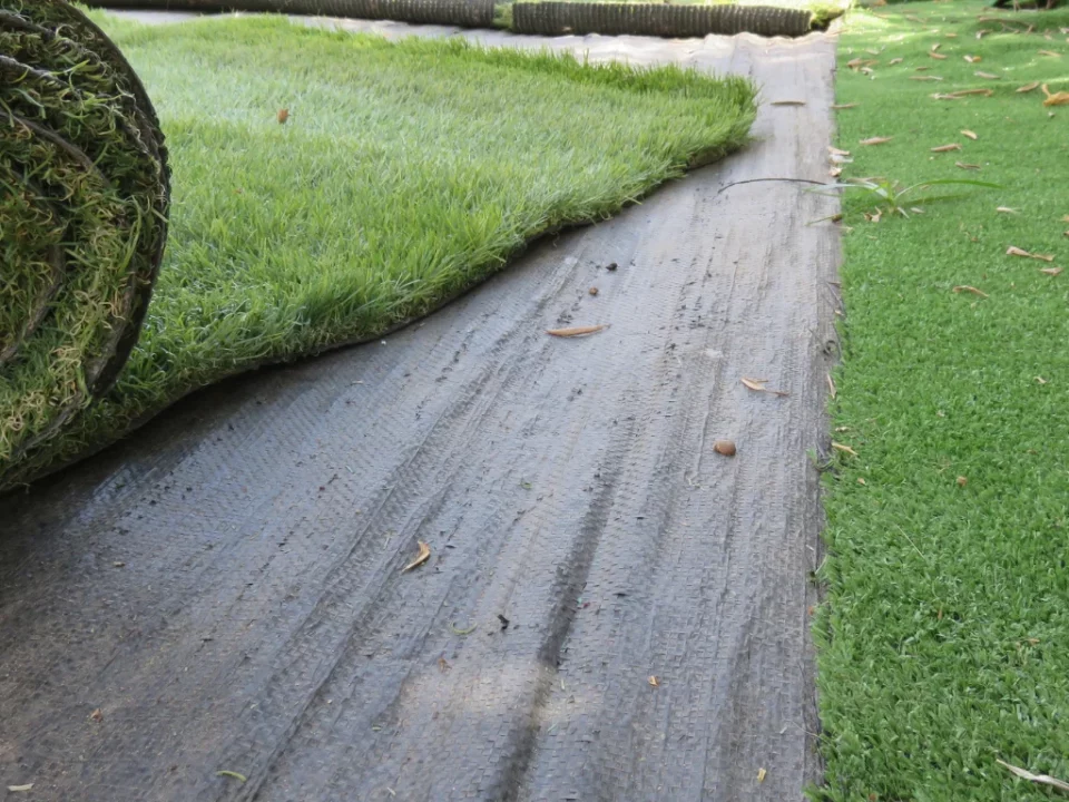 Synthetic Grass