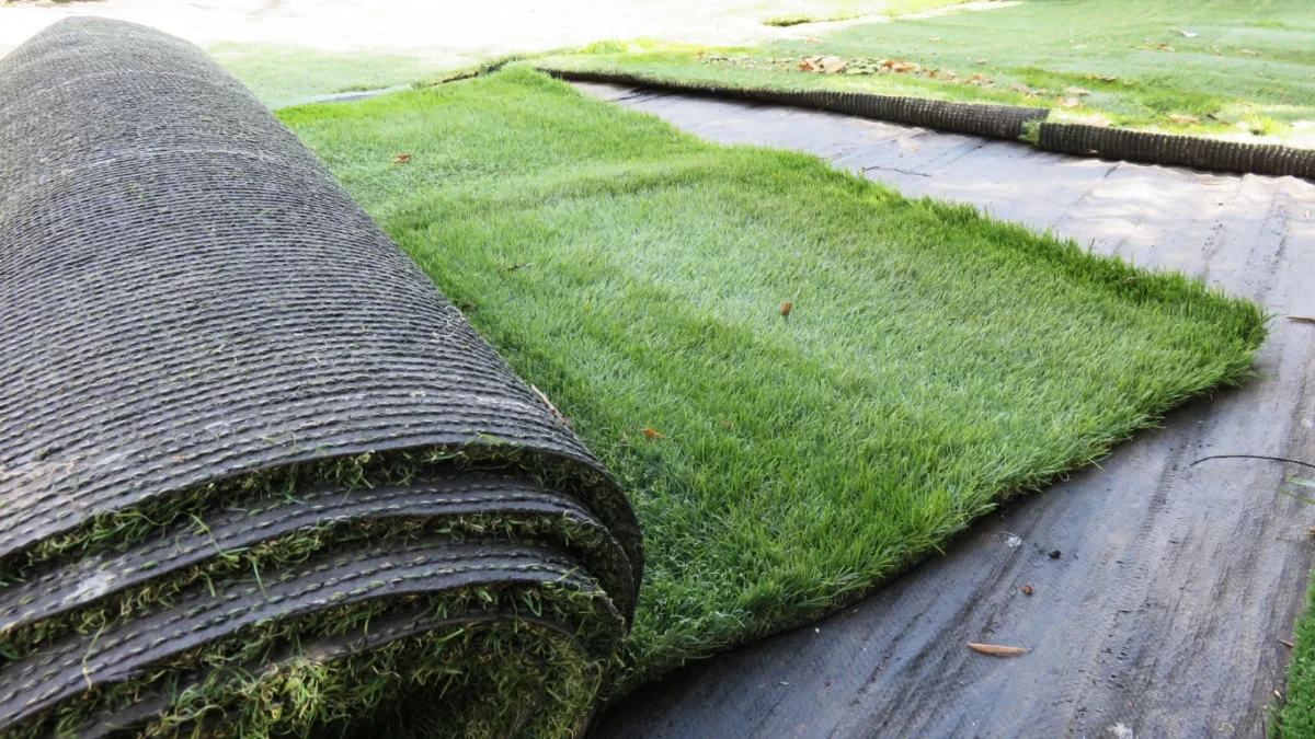 Synthetic Grass