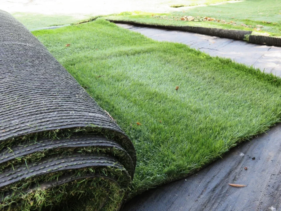 Synthetic Grass