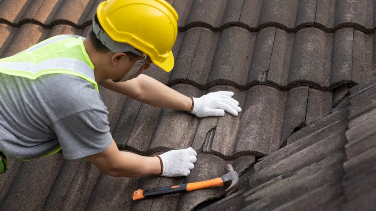 Roof