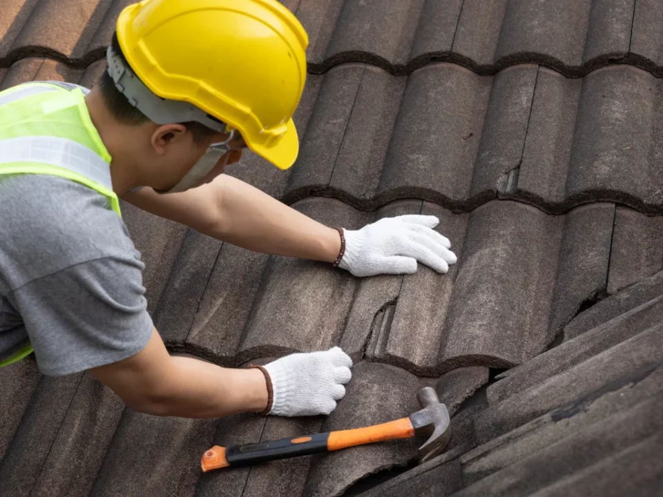 Roof