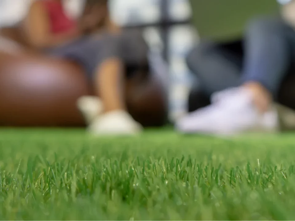 Synthetic Grass