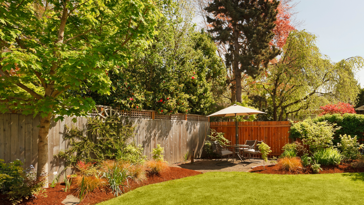 Backyard Remodeling