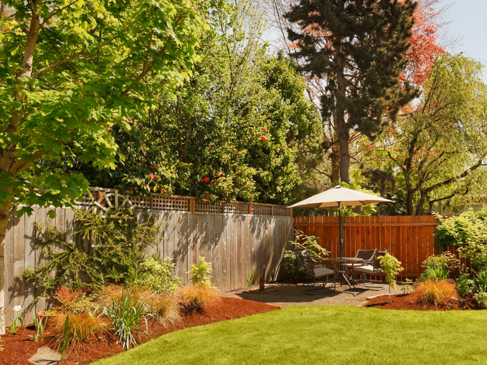 Backyard Remodeling